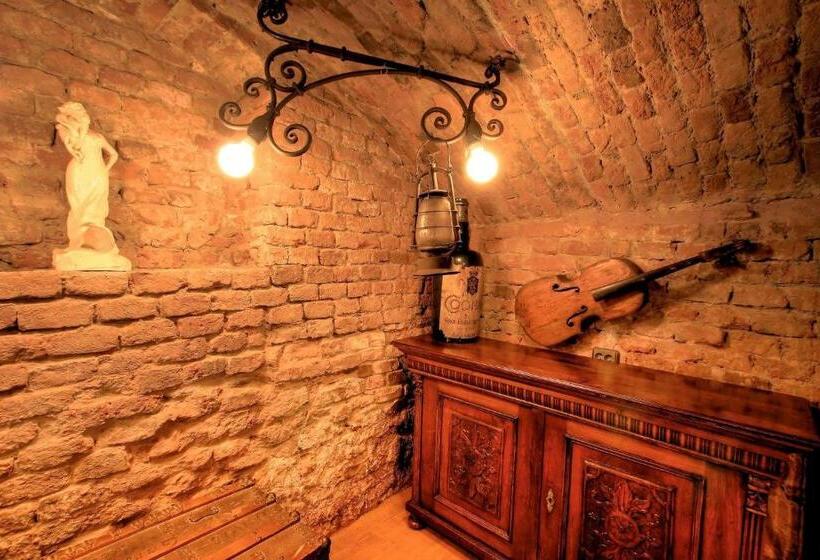 ホテル Poesis Satu Mare