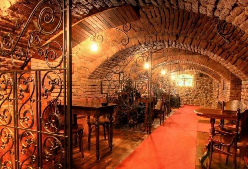 ホテル Poesis Satu Mare