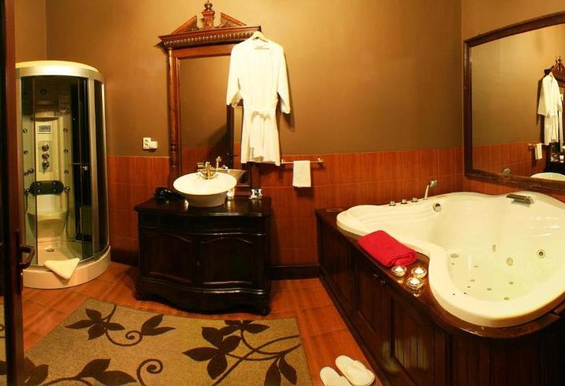 ホテル Poesis Satu Mare