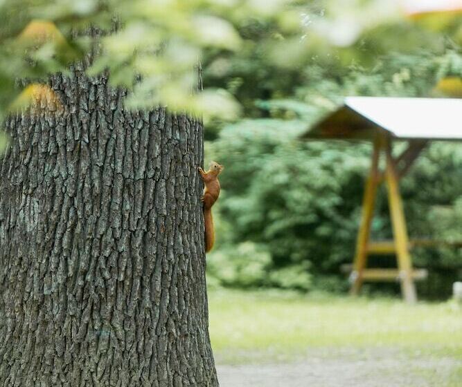 ホテル Turmvilla Bad Muskau