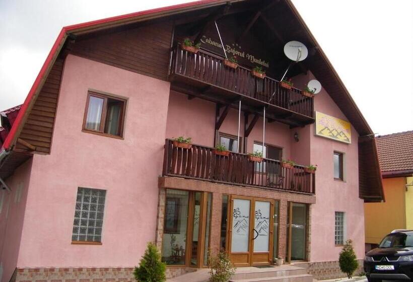 Отель Pensiunea Bujor De Munte