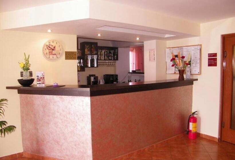 Отель Pensiunea Bujor De Munte