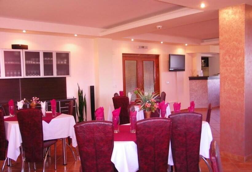 Отель Pensiunea Bujor De Munte