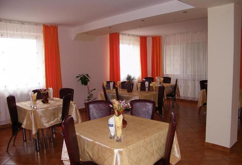 Отель Pensiunea Bujor De Munte