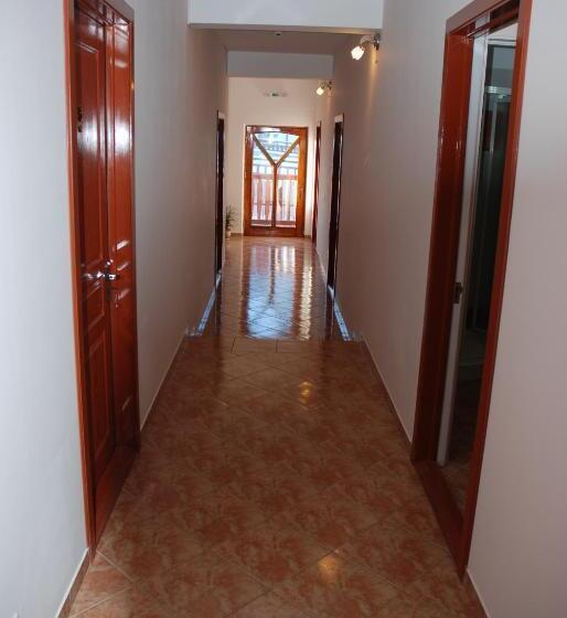 Отель Pensiunea Bujor De Munte