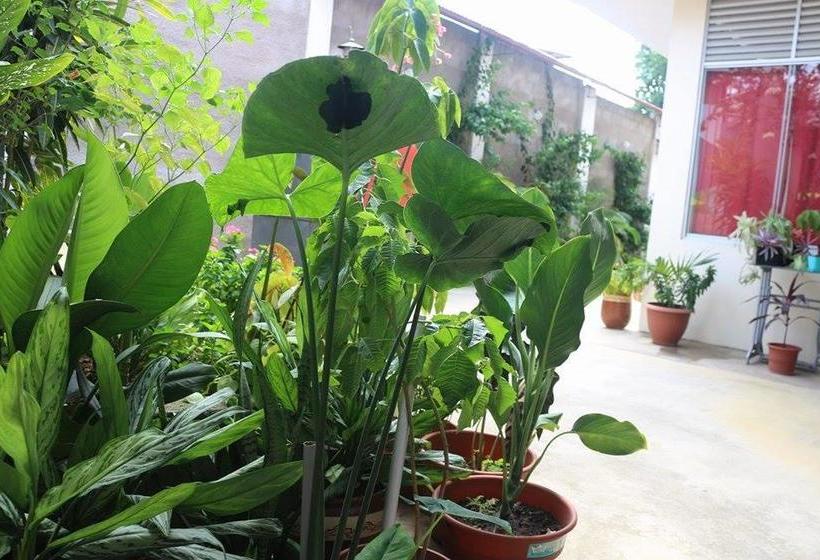 تختخواب و صبحانه La Casa Del Italiano