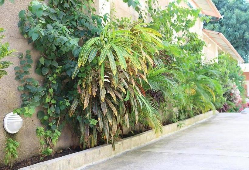 تختخواب و صبحانه La Casa Del Italiano