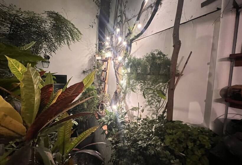 مبيت وإفطار La Casa Del Viajero