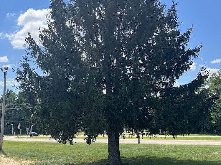 בית מלון כפרי All Star Inn & Suites