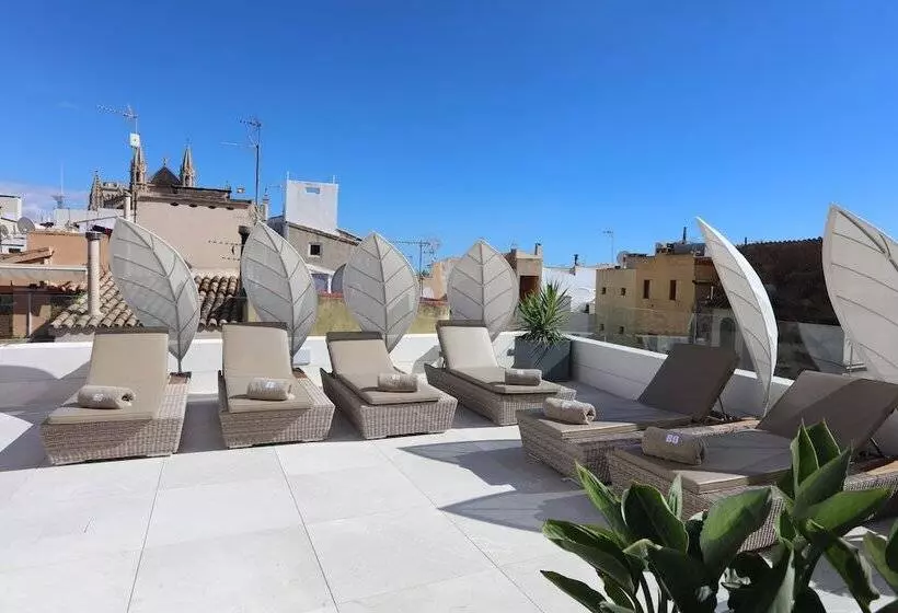 Bo Hotel Palma