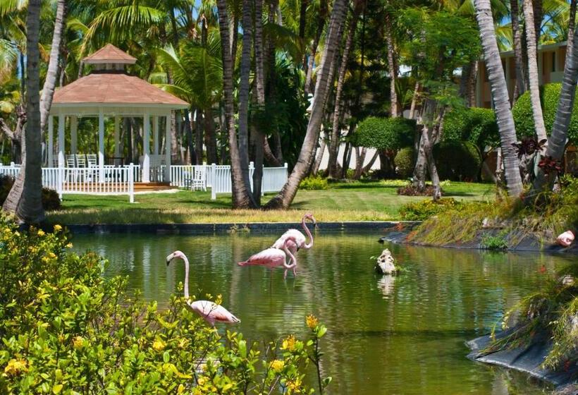 هتل Catalonia Punta Cana - All Inclusive