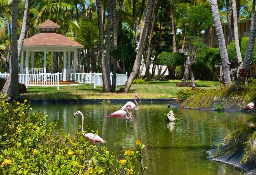 ホテル Catalonia Punta Cana - All Inclusive