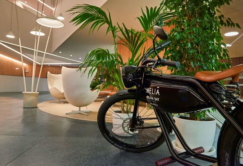 Отель Melia Palma Bay