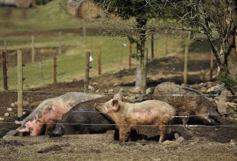 בית מלון כפרי Penzion Farma U Mauritzů