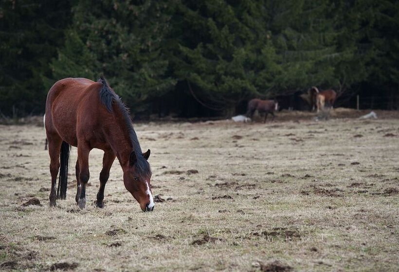 בית מלון כפרי Penzion Farma U Mauritzů