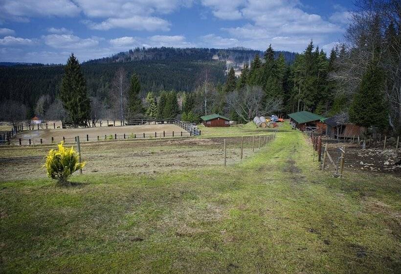 בית מלון כפרי Penzion Farma U Mauritzů