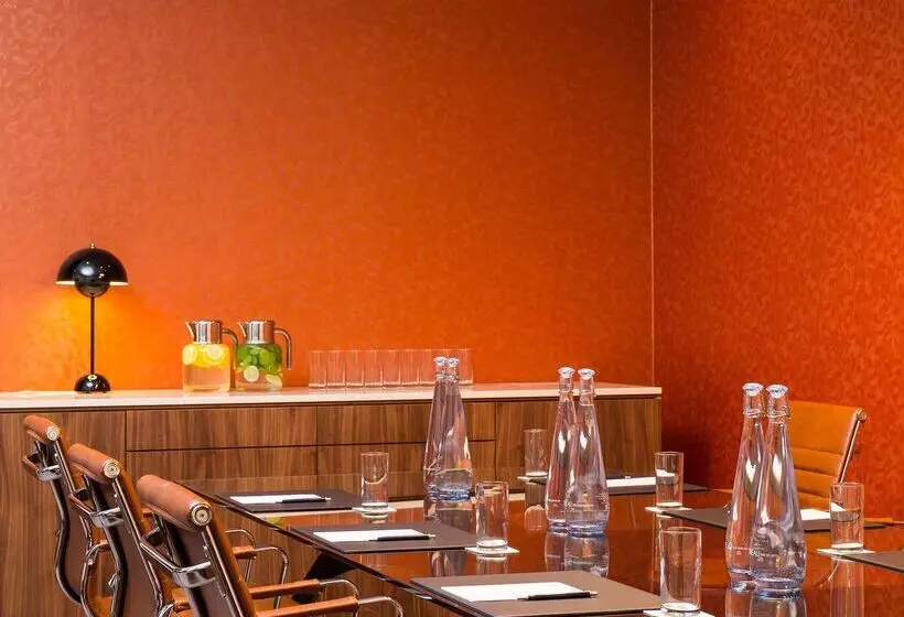 هتل Radisson Blu  Moscow Sheremetyevo Airport