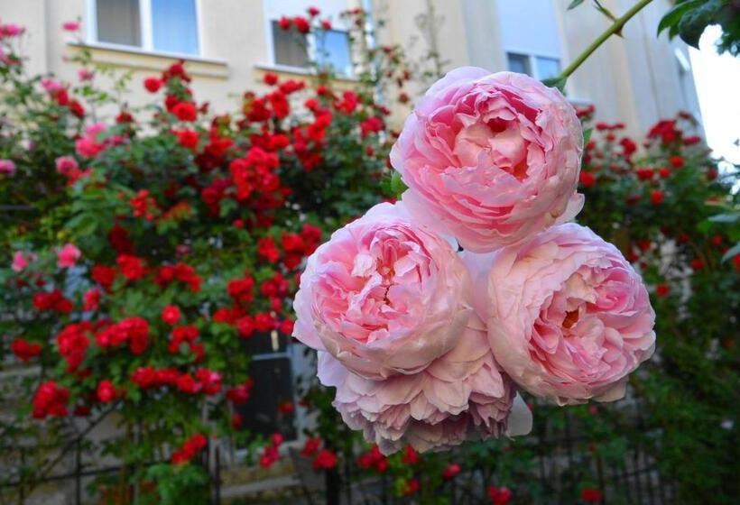 Отель Residenza Dutzu Boutique