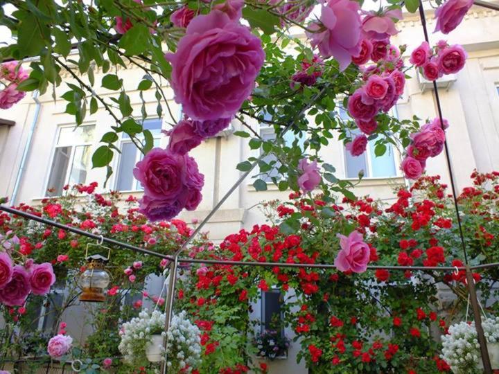 Отель Residenza Dutzu Boutique