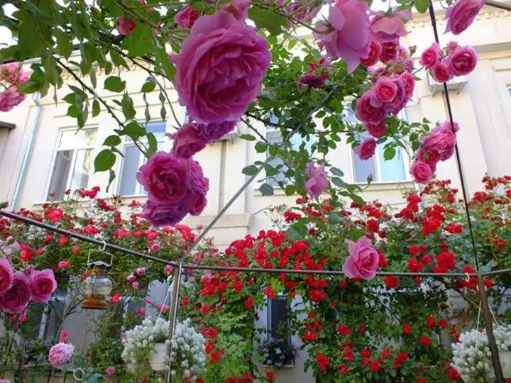 هتل Residenza Dutzu Boutique