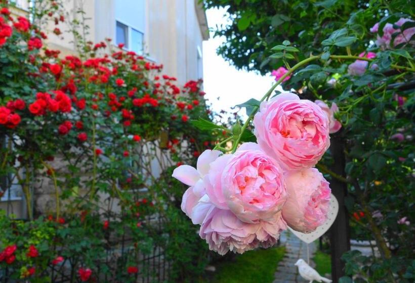 Отель Residenza Dutzu Boutique