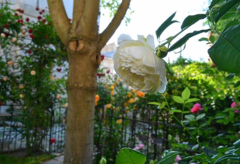 Отель Residenza Dutzu Boutique