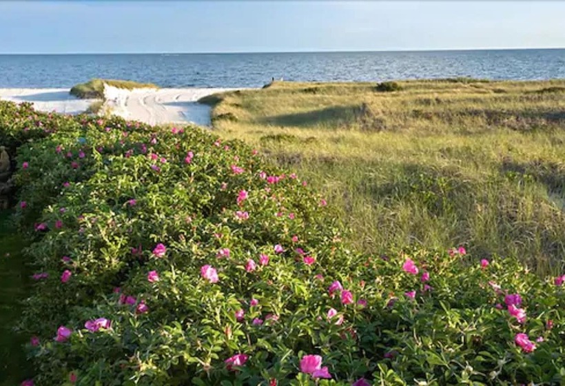 Отель The Winstead Inn