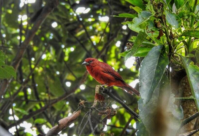Auberge Hôtelière Ecofinca Salento