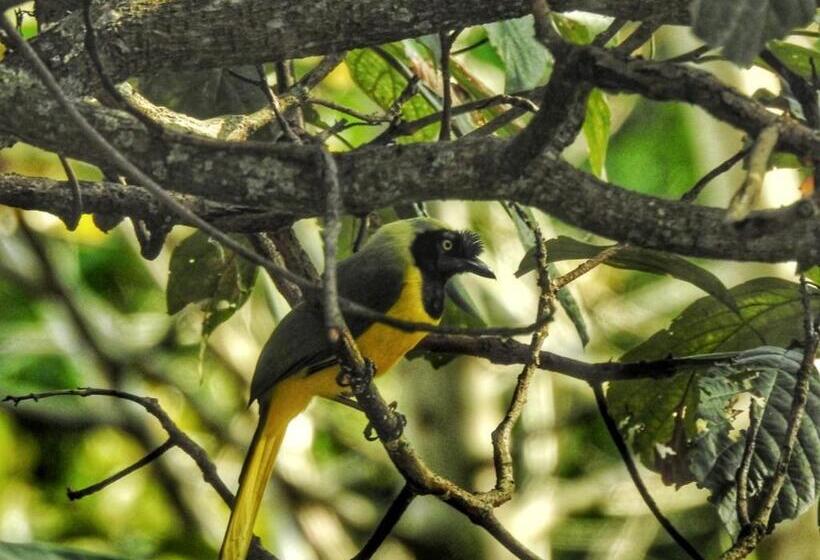 Auberge Hôtelière Ecofinca Salento