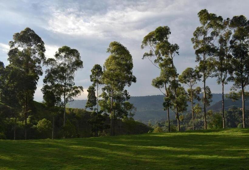 Auberge Hôtelière Ecofinca Salento