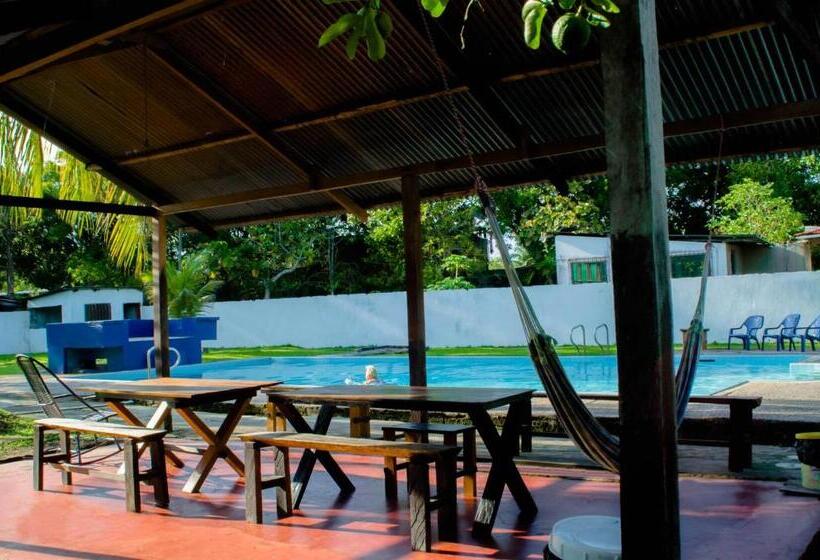 住宿加早餐  Hostel Casa De Las Palmas Tours