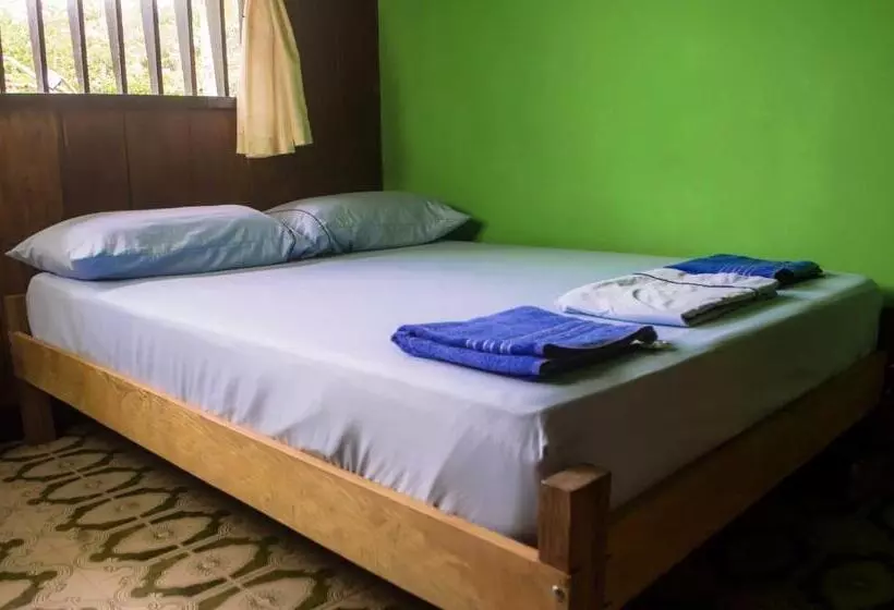 تختخواب و صبحانه Hostel Casa De Las Palmas Tours