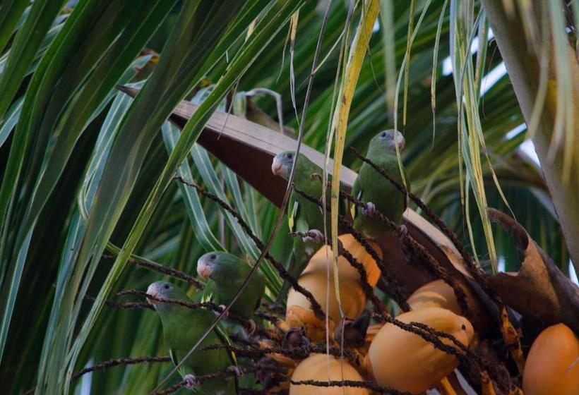 住宿加早餐  Hostel Casa De Las Palmas Tours