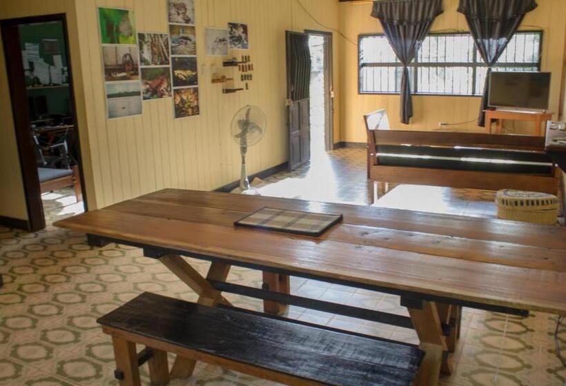 住宿加早餐  Hostel Casa De Las Palmas Tours