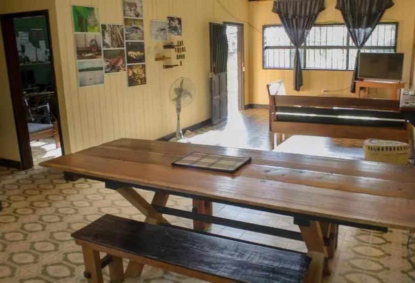 تختخواب و صبحانه Hostel Casa De Las Palmas Tours