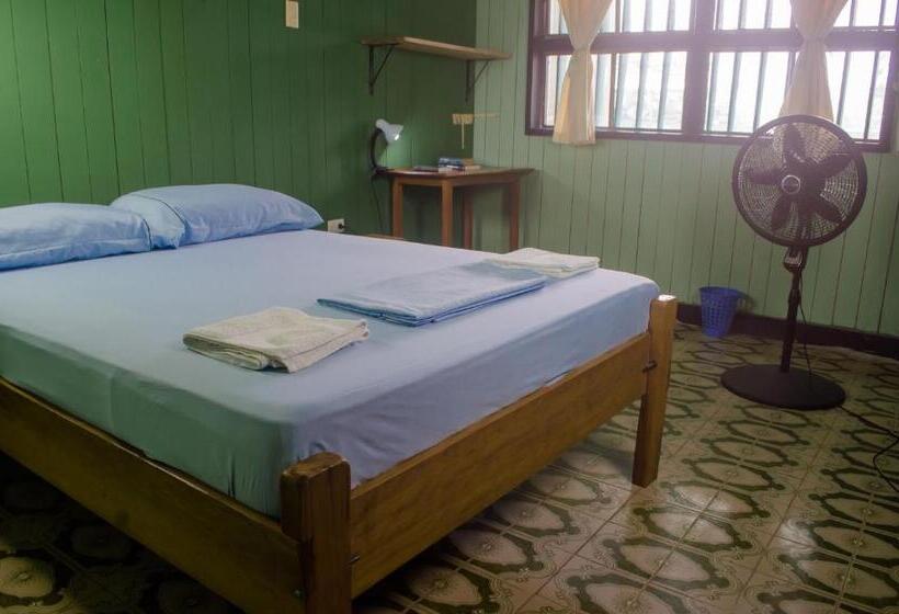 住宿加早餐  Hostel Casa De Las Palmas Tours