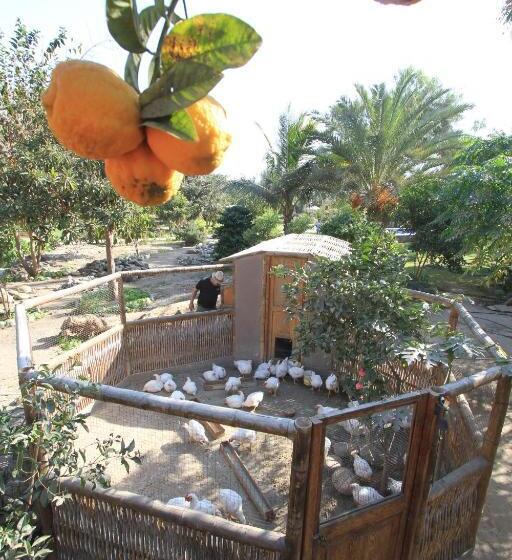 호텔 Refugio De Santiago Ecolodge