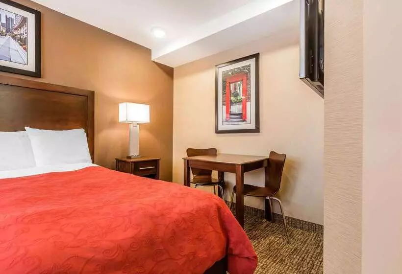 ホテル Rodeway Inn Chicago/evanston