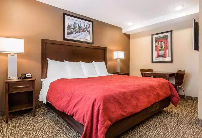 ホテル Rodeway Inn Chicago/evanston