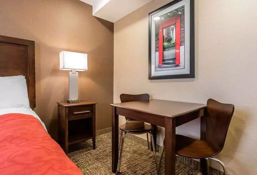 ホテル Rodeway Inn Chicago/evanston