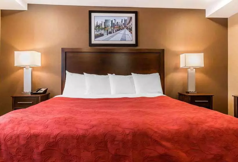 ホテル Rodeway Inn Chicago/evanston