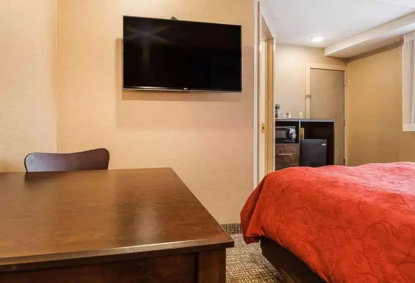 ホテル Rodeway Inn Chicago/evanston