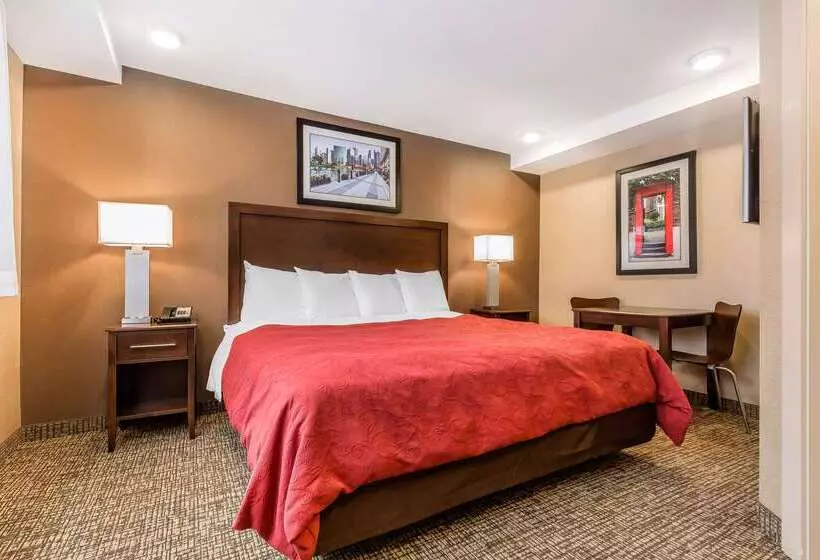 ホテル Rodeway Inn Chicago/evanston