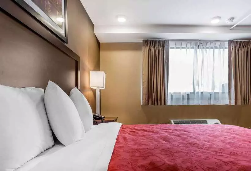 ホテル Rodeway Inn Chicago/evanston
