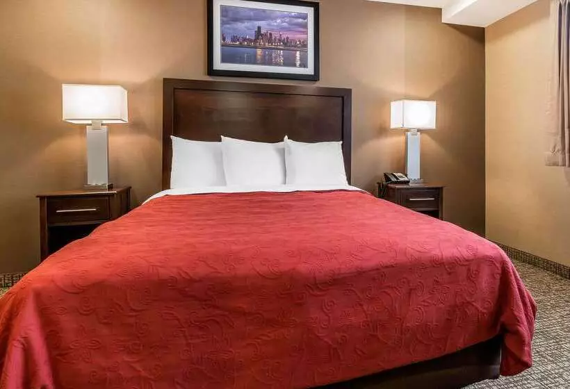 ホテル Rodeway Inn Chicago/evanston