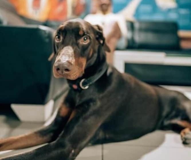 Neos Hotel Cartagena