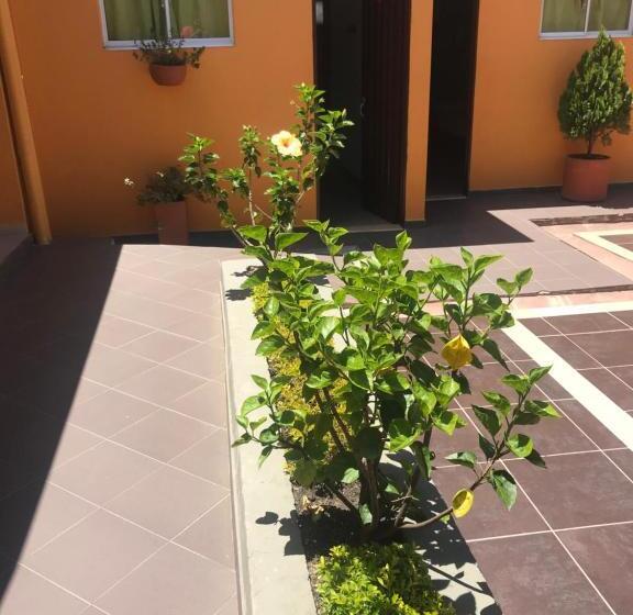 הוסטל Hostal El Hangar