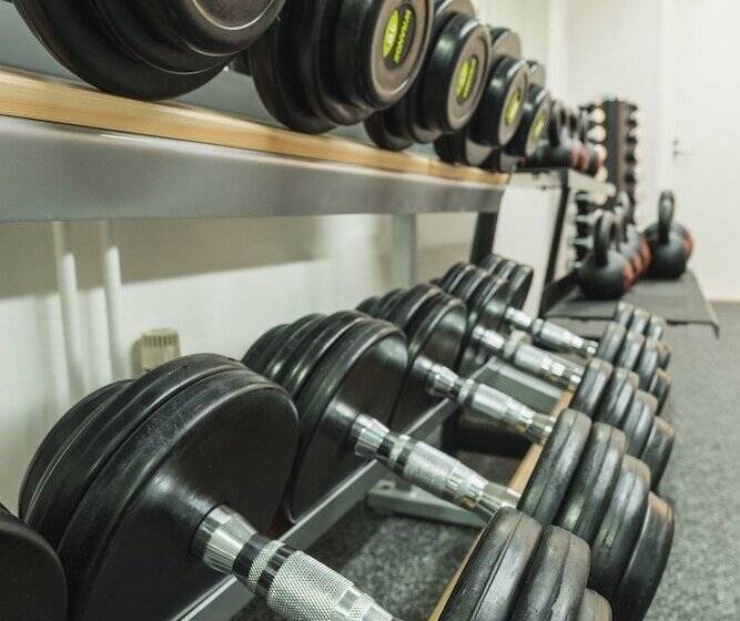 בית מלון כפרי Li Kittilä