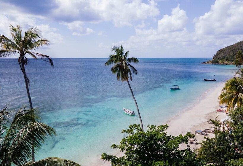 בית מלון כפרי South West Bay Cabañas