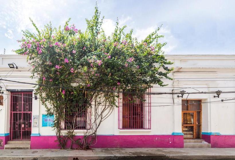 Aroha Villana Hostel